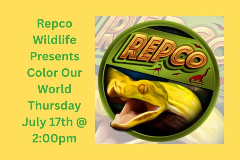 Repco Wildlife Presents Color Our World